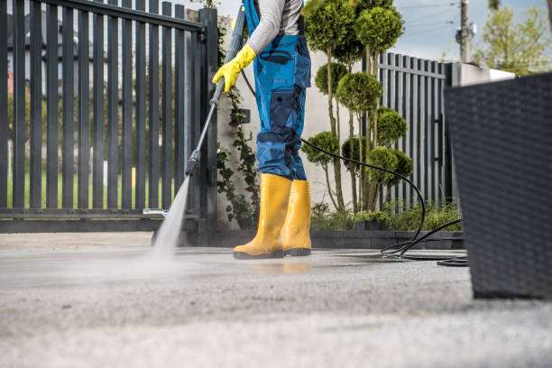 Best House Exterior Washing  in Union Springs, NY